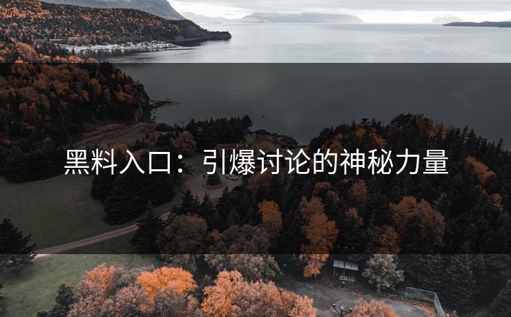 黑料入口：引爆讨论的神秘力量