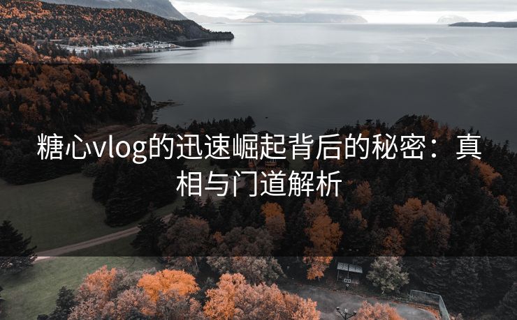 糖心vlog的迅速崛起背后的秘密：真相与门道解析