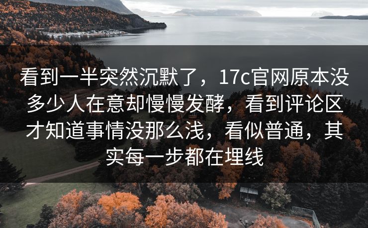 看到一半突然沉默了，17c官网原本没多少人在意却慢慢发酵，看到评论区才知道事情没那么浅，看似普通，其实每一步都在埋线