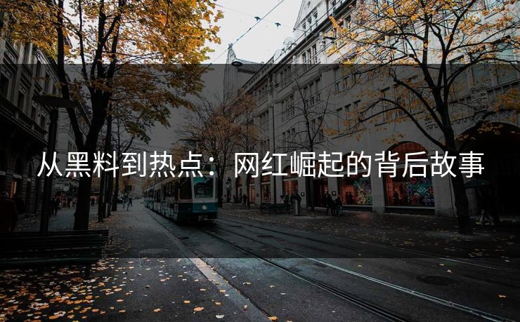 从黑料到热点：网红崛起的背后故事