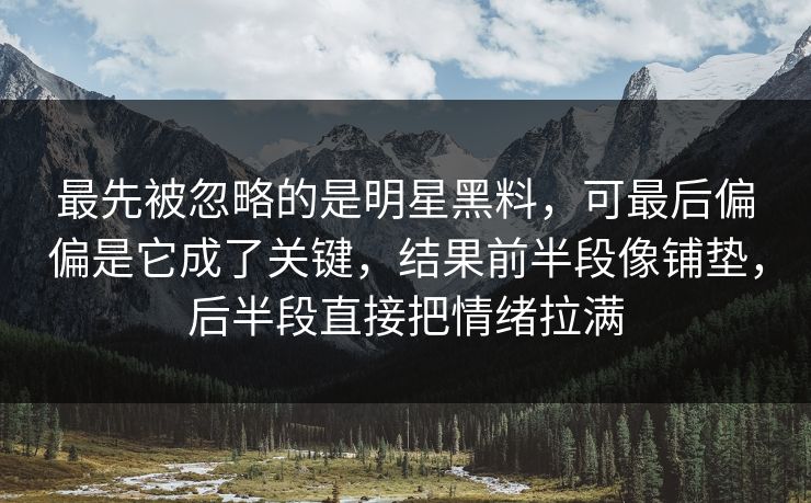 最先被忽略的是明星黑料，可最后偏偏是它成了关键，结果前半段像铺垫，后半段直接把情绪拉满